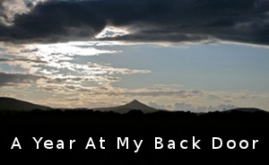 Ciara -> A year at my back door