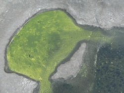 Vue du ciel (Photo d'une flaque d'eau verte dans le creux d'un rocher)