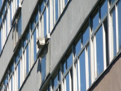 Jardin suspendu (Photo d'une jardinière perdue sur le bord d'une fenêtre d'un immeuble)