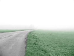 Sur la route (Photo d'une route avec une faible visibilité à cause du brouillard)