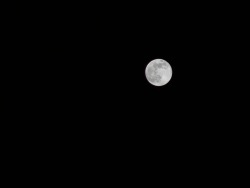 Objectif lune (Photo de la lune avec un ciel dégagé)