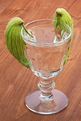 Herbe aux perruches (Asclépiade commune : Posées sur le bord d'un verre, ces fleurs donne l'illusion que des perruches se sont arrêtés pour se désaltérer.)