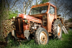 Massey Ferguson 35 (4) (Photo d'un vieux tracteur Massey Ferguson 35 au bord d'un champ. Le traitement HDR permet d'accentuer l'effet rouillé, ancien ...)