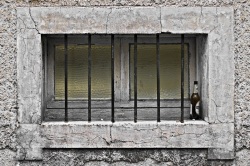 Bord de fenêtre (Photo prise lors d'une balade dans Évry village)