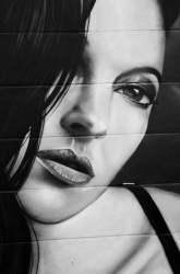 Haaaa Monica (Photo d'un graffiti issu d'une série prise à Soisy-sur-Seine (91))