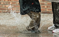 Sous la pluie (1) (Photo issue d'une série prise pour un concours photo, sur le site de www.forumlumix.com)