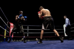 De la sueur, des coups et du sang ! (4) (Photos d'un gala de boxe à Montargis - Photos des boxeurs Guy-Albert Haguy et Yazid Amghar)